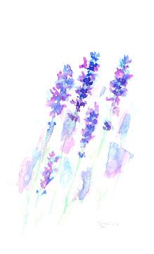 Lavendel Impression - lockeres Aquarellgemälde von Karen Kaspar