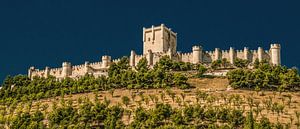 Penafiel