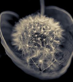 Sicherheit von Ruud Overes