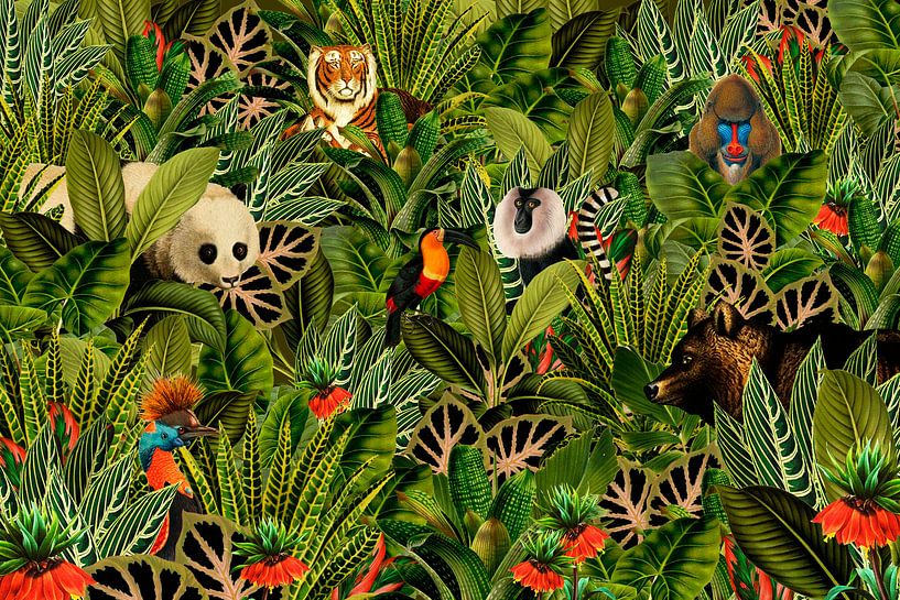 Jungle avec panda, toucan, oiseau de paradis, ours, tigre et singes. par Studio POPPY