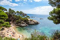 Spanish sea