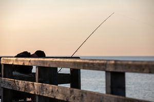 Angler auf einer Seebrücke an der Ostsee