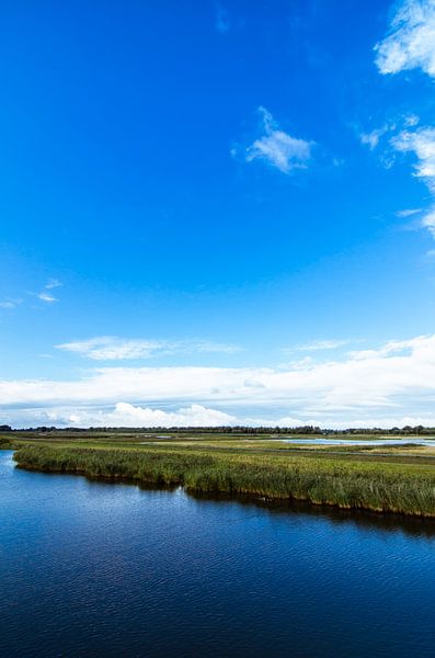 Biesbosch 1 von Deshamer