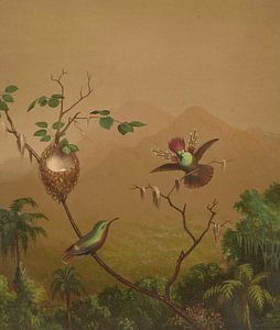 Braziliaanse kolibries IV, Martin Johnson Heade...