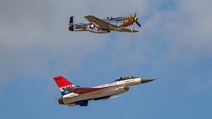 Vol du patrimoine de l'armée de l'air des États-Unis.