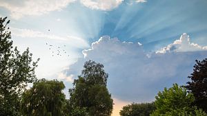 Sonnenstrahlen brechen durch Wolken, Jakobsleiter und Halo um die Sonne von Martijn Schrijver