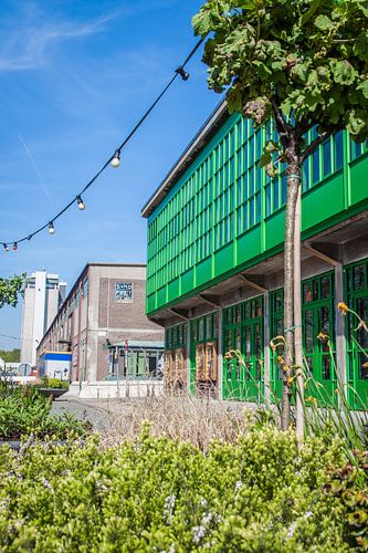 Kantine Walhala Rotterdam