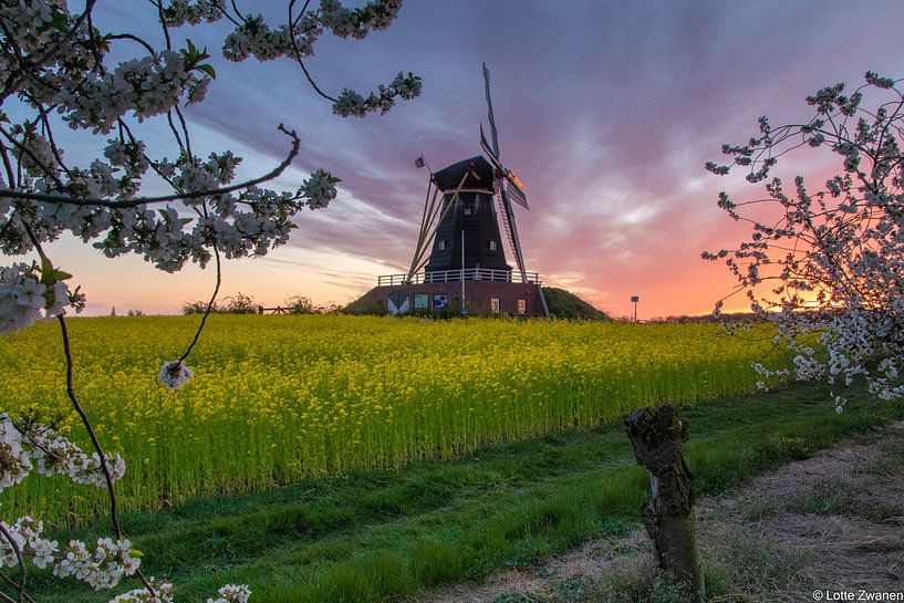 Mühle bei Sonnenuntergang von Lotte Zwanen