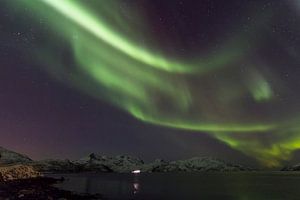 Northern Lights, Skulsfjord van Freek van den Driesschen