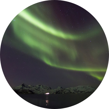 Northern Lights, Skulsfjord van Freek van den Driesschen