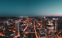 Avondstemming over de daken van Frankfurt