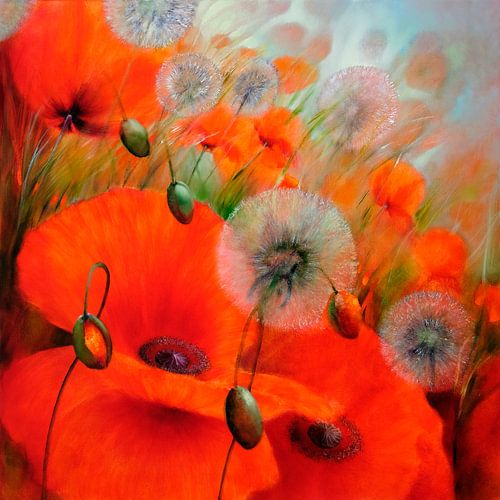 Mohn und Pusteblumen