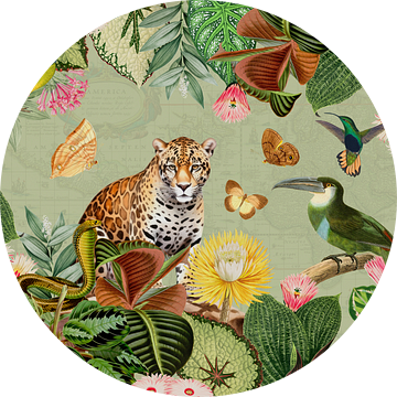 Exotische dieren, vogels in het tropisch regenwoud van Floral Abstractions