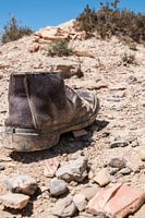 Lost Shoe