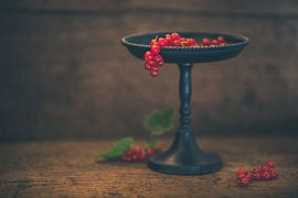Red currants by Regina Steudte | photoGina