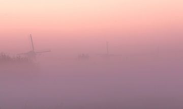 Kinderdijk im Nebel