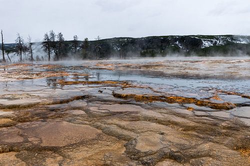 Une nature exceptionnelle au parc national de Yellowstone en Amérique