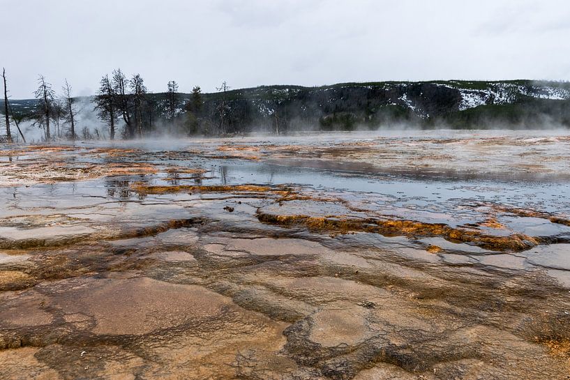 Une nature exceptionnelle au parc national de Yellowstone en Amérique par Linda Schouw