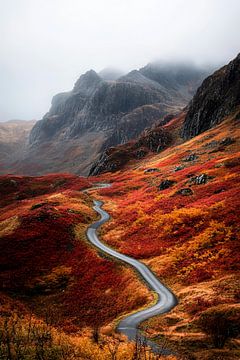 Herbstliche Berglandschaft mit Straße von Poster Art Shop