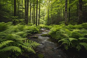 Faszination Wald