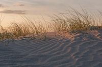 Duinen