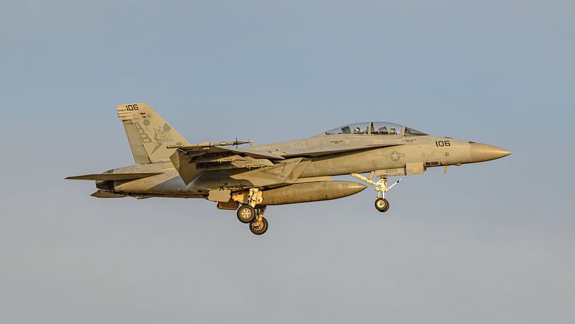 U.S. Navy Boeing F/A-18F Super Hornet from VFA-11 Red Rippers. by Jaap van den Berg