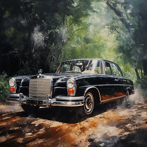 Mercedes classic van TheXclusive Art