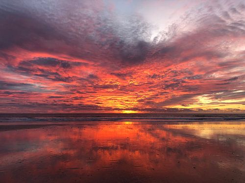 Sonnenuntergang von Anouk Goedknegt
