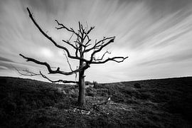 Crumbling van Cho Tang