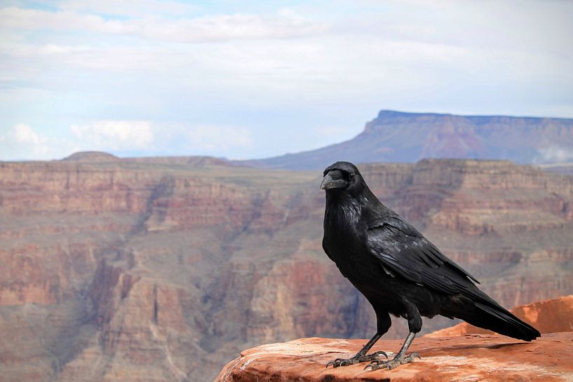 Grand Canyon by Hello Pompoyo