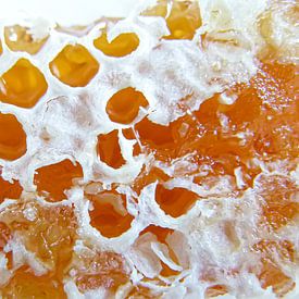 Honey van Stukje Vierkant
