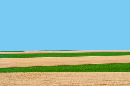 Paysage Culturel #10