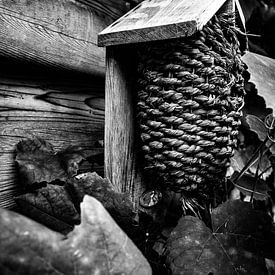 Maison d'oiseaux dans le jardin monochrome sur Faucon Alexis