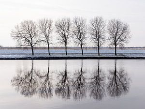 Mirror mirror van Mattijs Diepraam