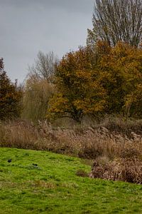 Herbststimmung an der Waterfront