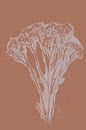 Pastel Botanicals. Plant in bruin en roze nr. 2 van Dina Dankers thumbnail
