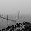 Visnetten in een mistig IJsselmeer van Paul Veen
