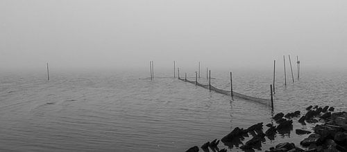 Visnetten in een mistig IJsselmeer