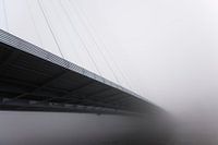 Neverending Mist