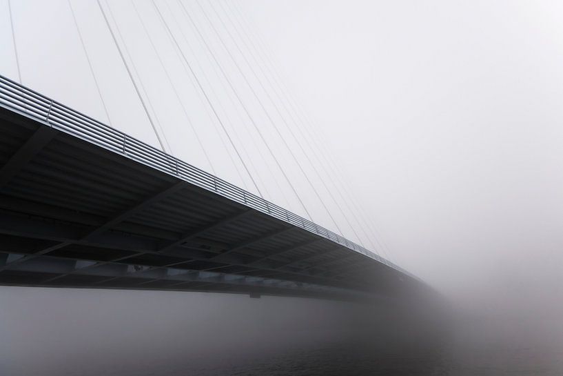 Neverending Mist by Rene Romijn