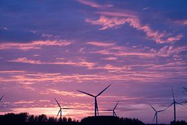 Evening Sun by Maaike Krimpenfort