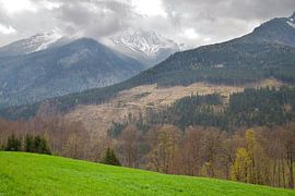 Alpen von Bo Valentino
