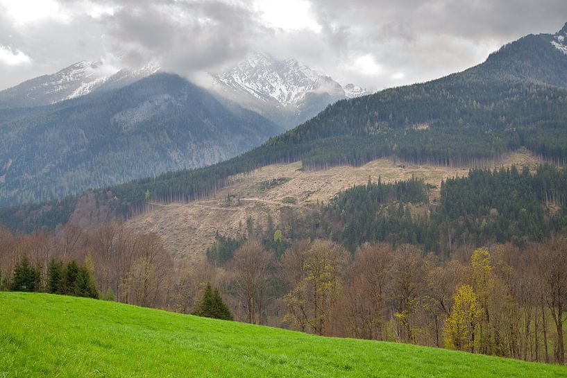 Alpen van Bo Valentino