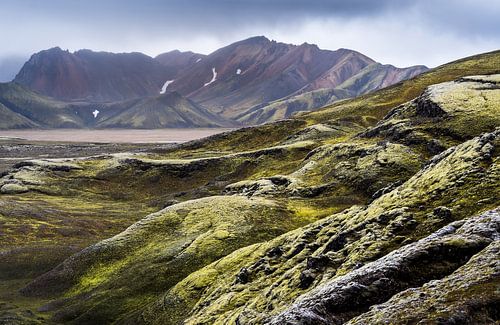 Hauts plateaux Islande