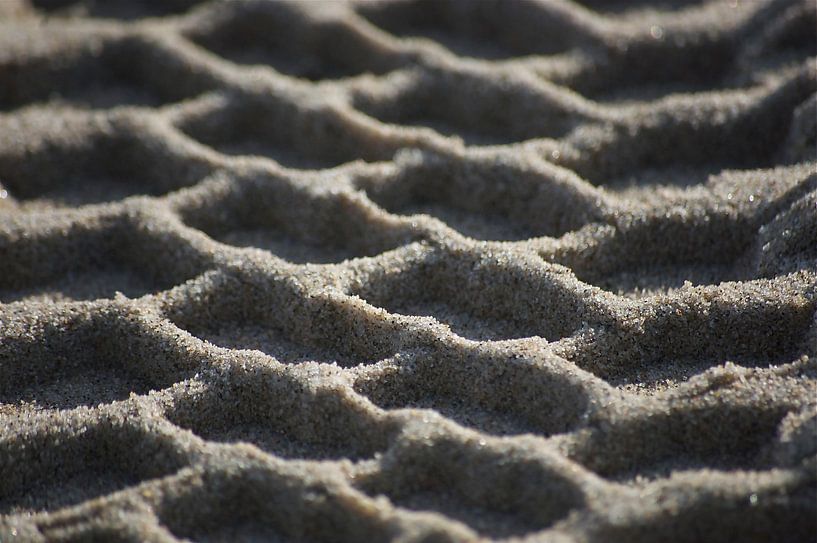 Het spoor par Peter Bosch