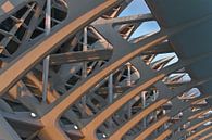 Valencia by Calatrava  van Dave Lans thumbnail