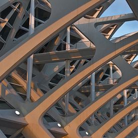 Valencia by Calatrava  von Dave Lans