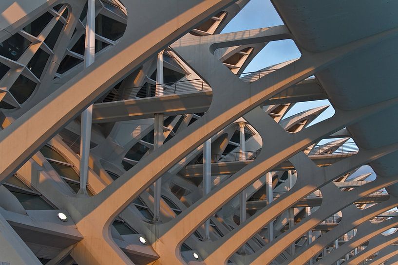 Valencia by Calatrava  van Dave Lans