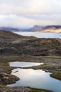 Paysage de montagne autour d'Isfjord au Spitzberg