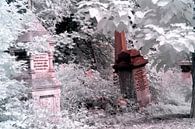 Winter auf dem Abney Park Friedhof, London von Helga Novelli Miniaturansicht